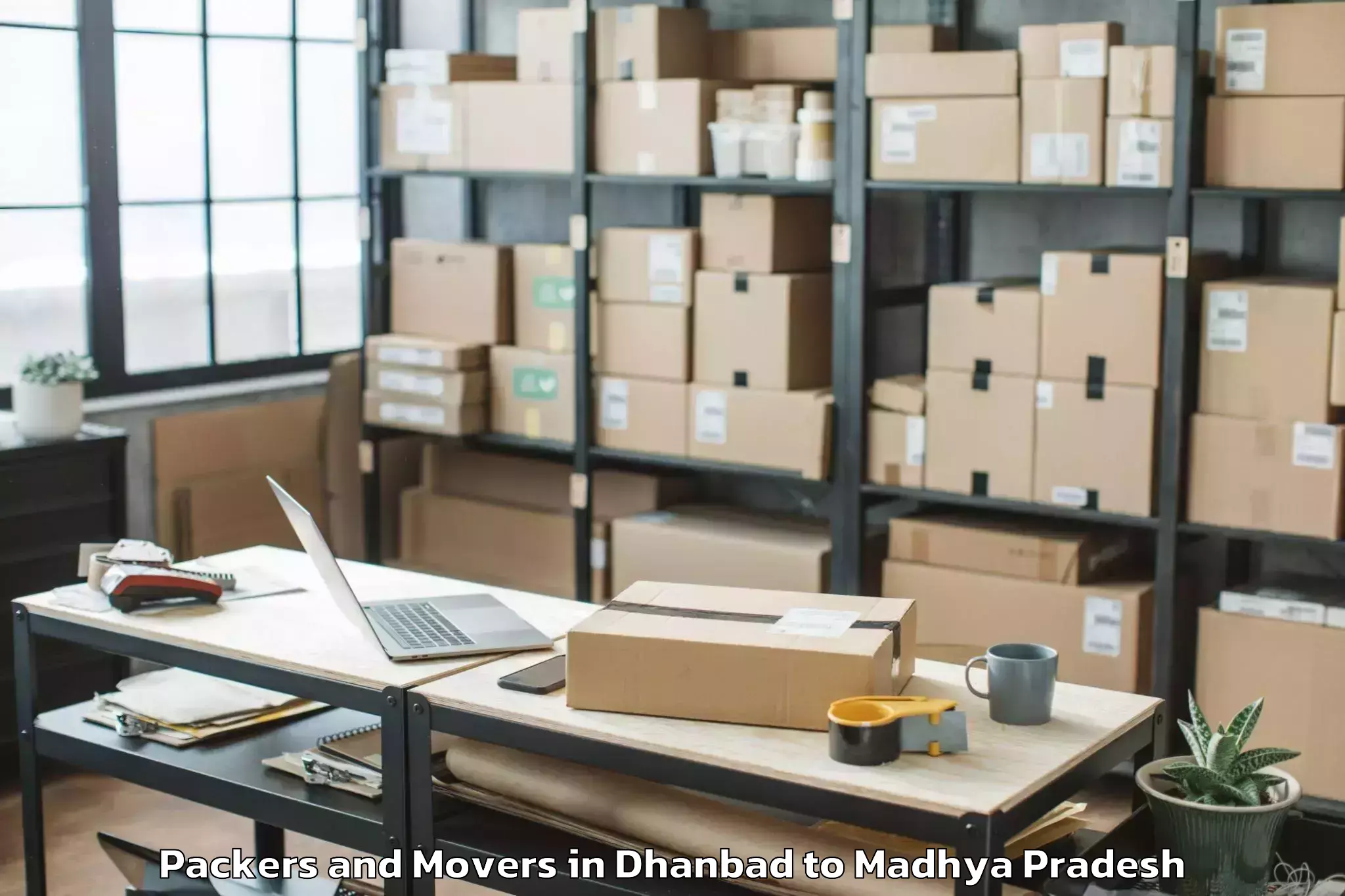 Professional Dhanbad to Badnagar Packers And Movers